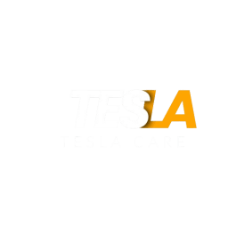 Tesla Grounding- Tesla Care - logo